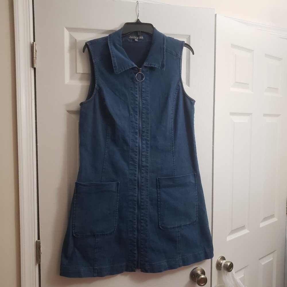 Sharagano Zip Front Sleeveless Denim Dress